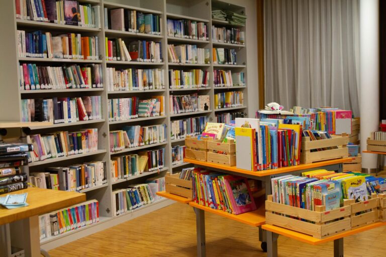 Bücherauswahl der Bücherei Stephanshart